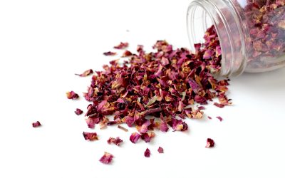 Visuel d'illustration de fleurs pour parfum